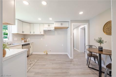 7325 Adkins Road Mentor OH 44060