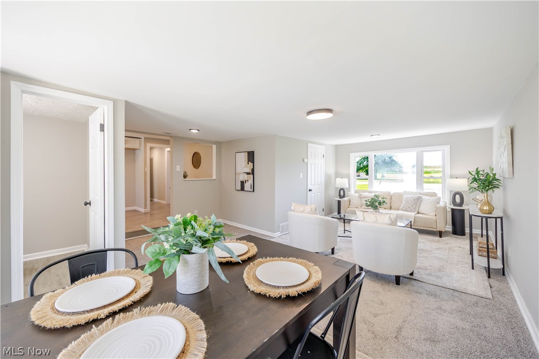 7325 Adkins Road Mentor OH 44060