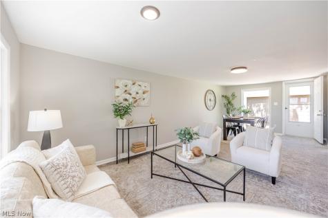 7325 Adkins Road Mentor OH 44060