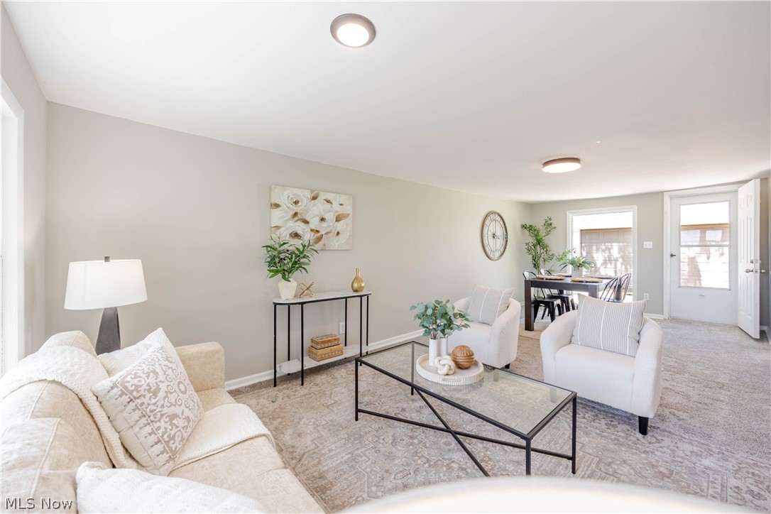 7325 Adkins Road Mentor OH 44060