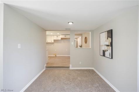 7325 Adkins Road Mentor OH 44060