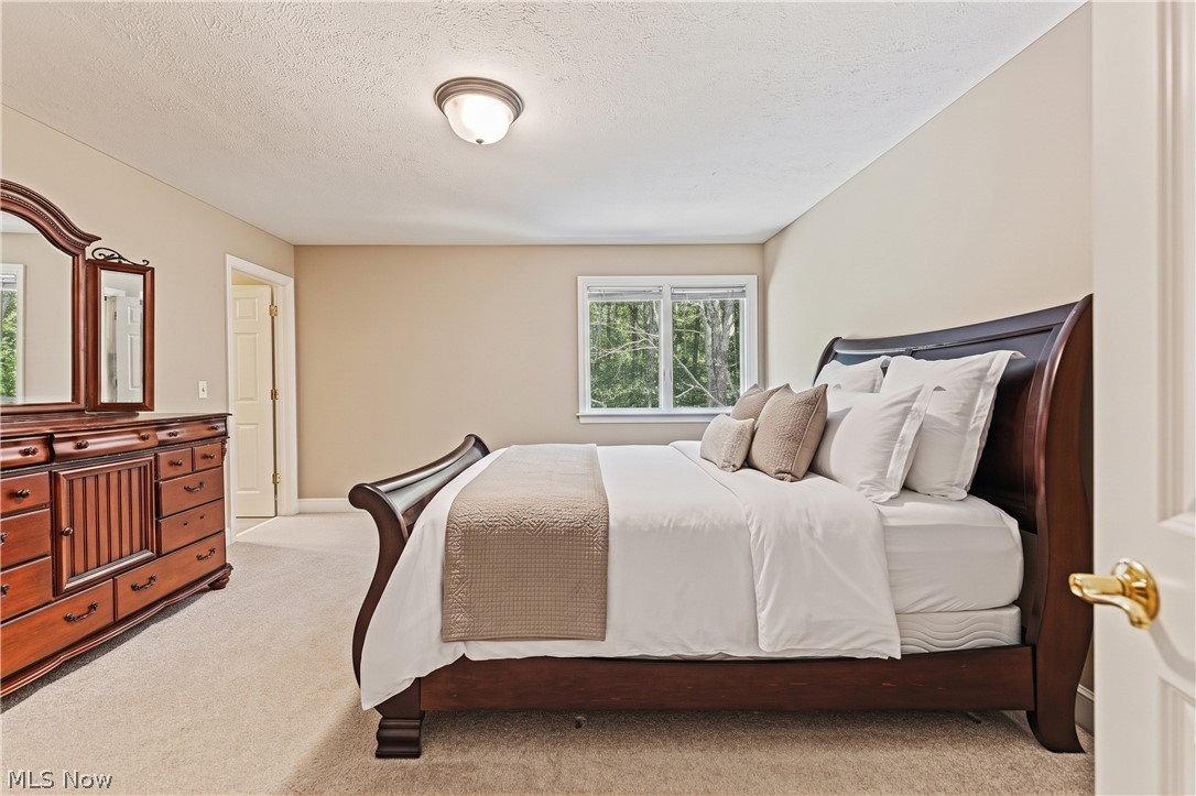 17351 Fish Creek Trail Chagrin Falls OH 44023