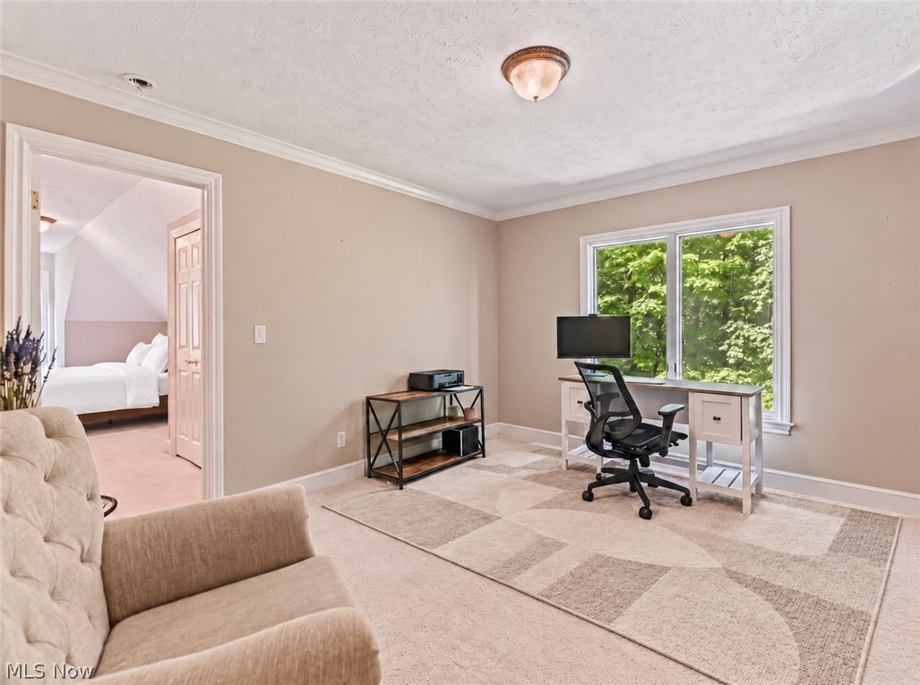 17351 Fish Creek Trail Chagrin Falls OH 44023
