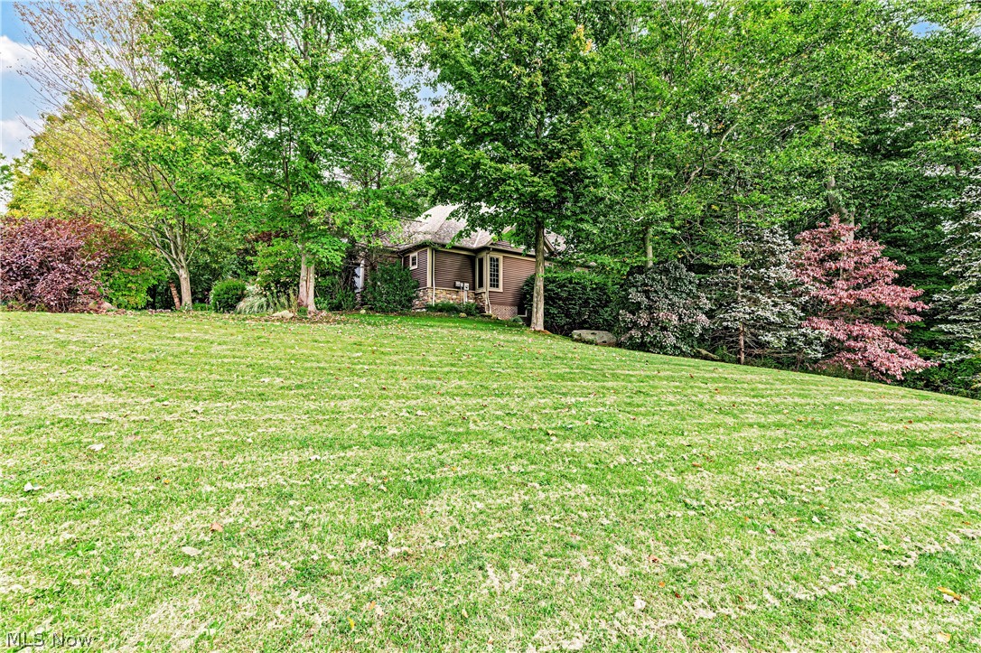 17351 Fish Creek Trail Chagrin Falls OH 44023