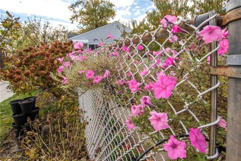 10004 Manoa Avenue Brooklyn OH 44144