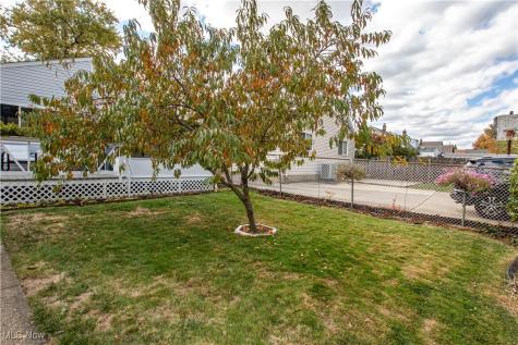 10004 Manoa Avenue Brooklyn OH 44144