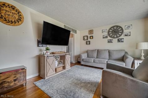 1555 Diana Drive Brunswick OH 44212