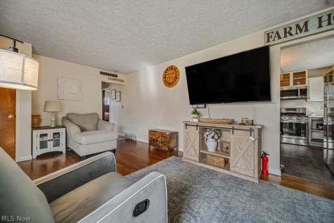 1555 Diana Drive Brunswick OH 44212