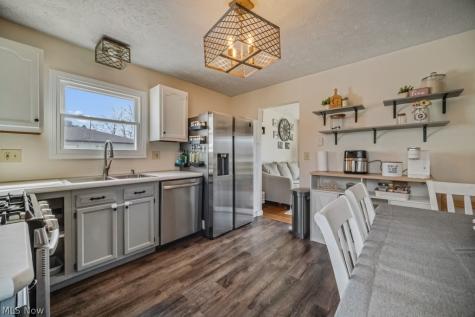 1555 Diana Drive Brunswick OH 44212