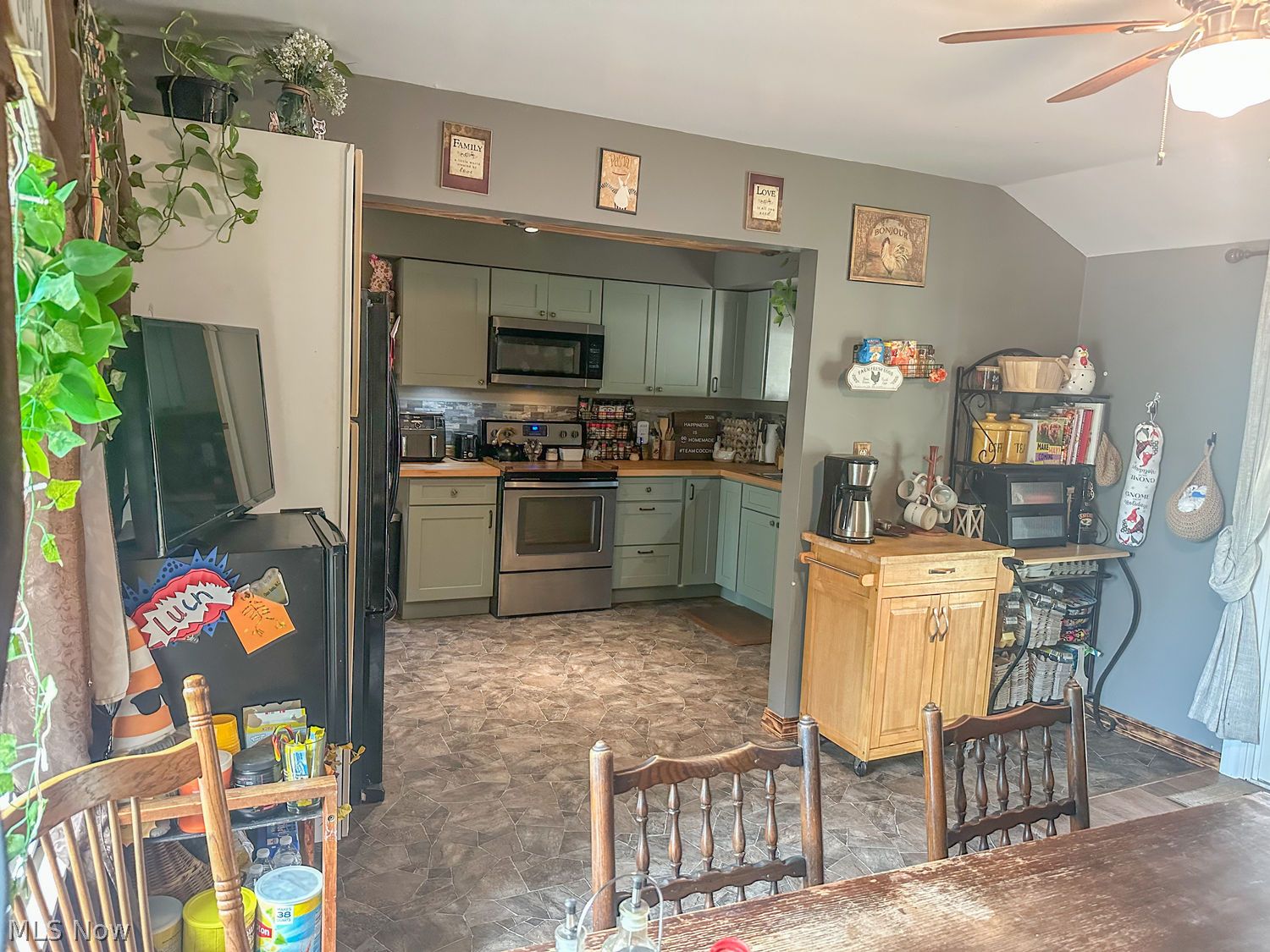 209 Tuckmere Drive Painesville OH 44077