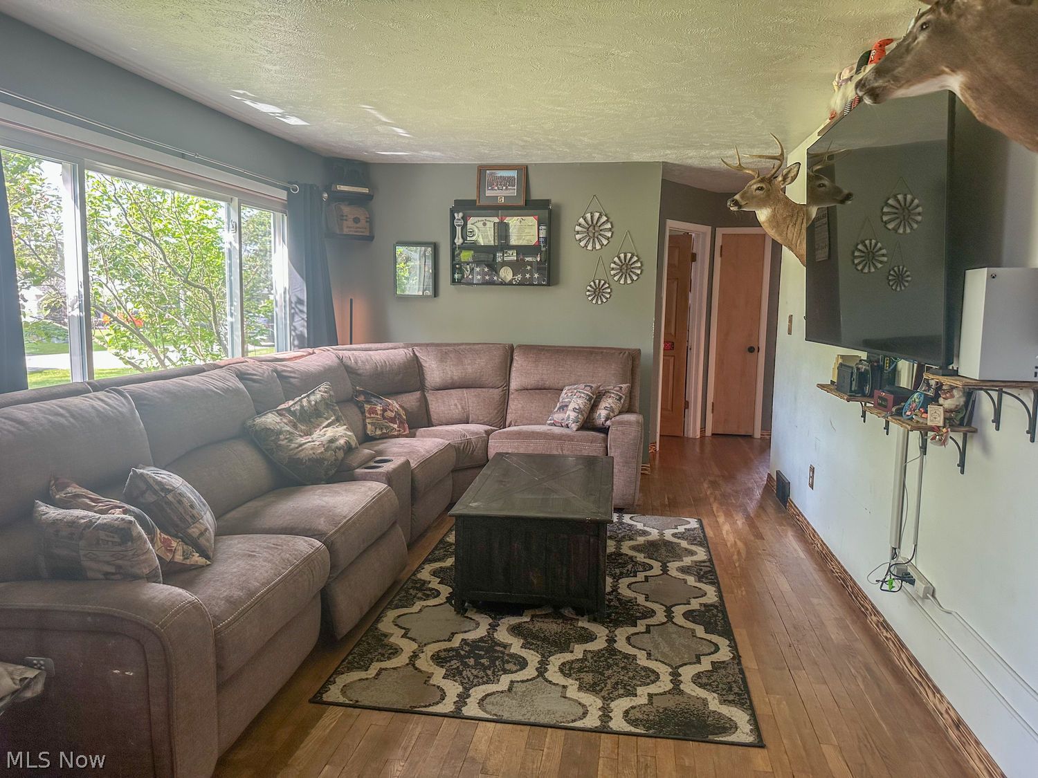 209 Tuckmere Drive Painesville OH 44077
