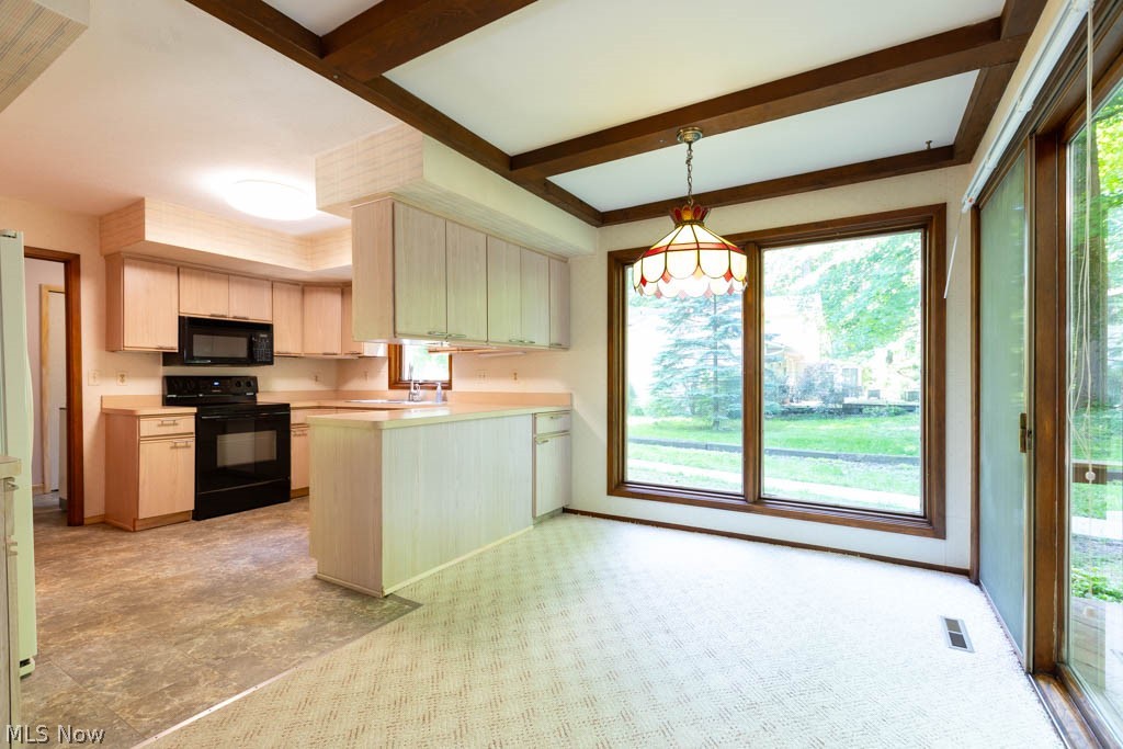 7360 Ledgewood Drive Kirtland OH 44094
