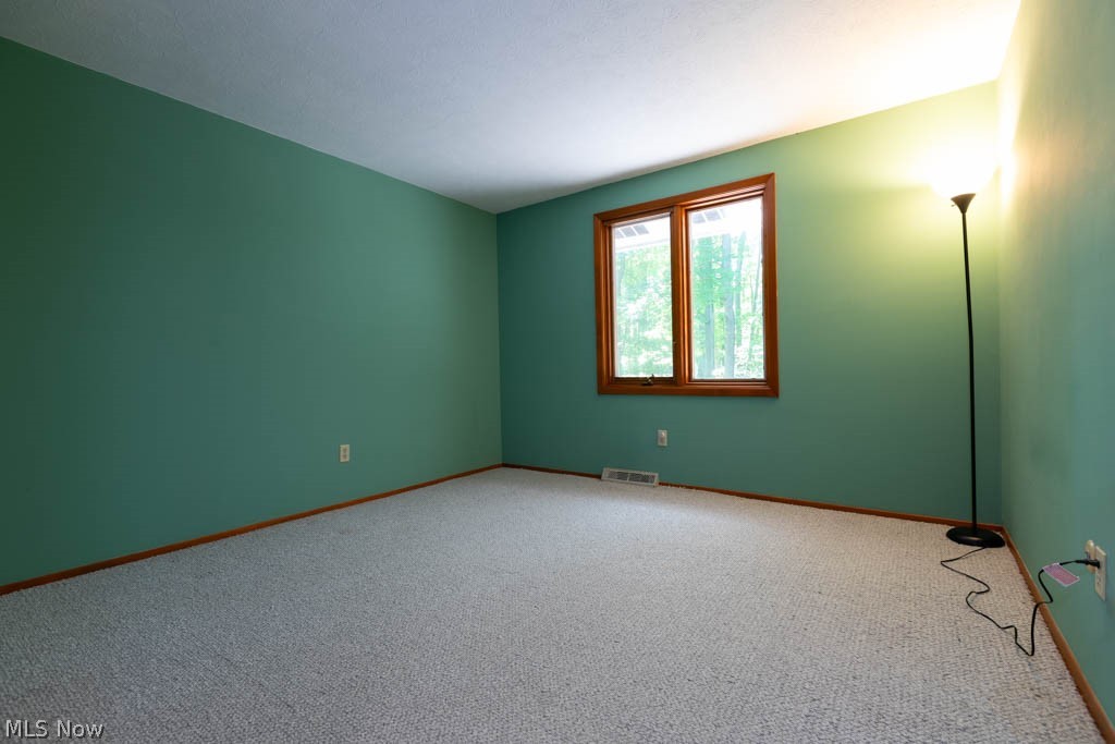 7360 Ledgewood Drive Kirtland OH 44094