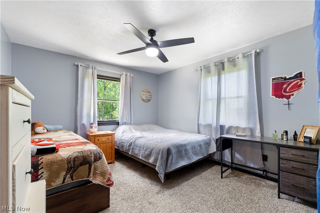 1139 Bristol Champion Townline Road NW Champion OH 44402