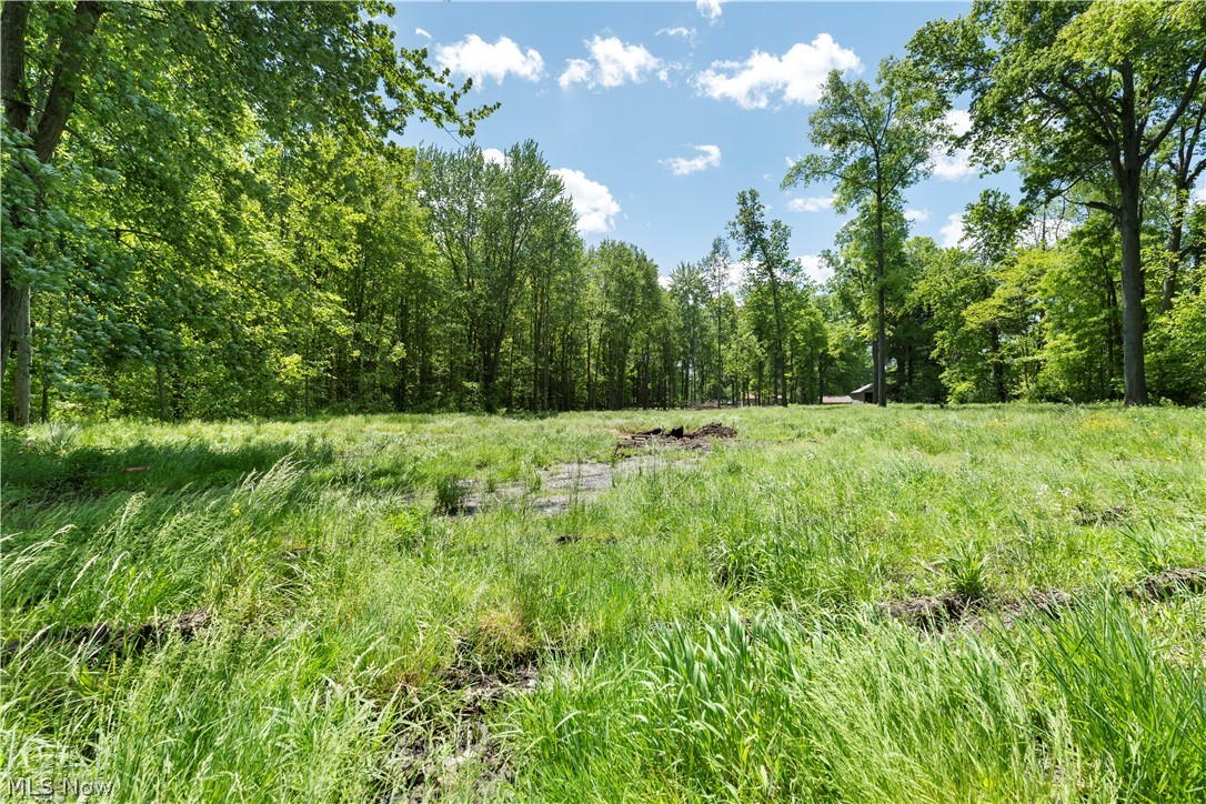 1139 Bristol Champion Townline Road NW Champion OH 44402