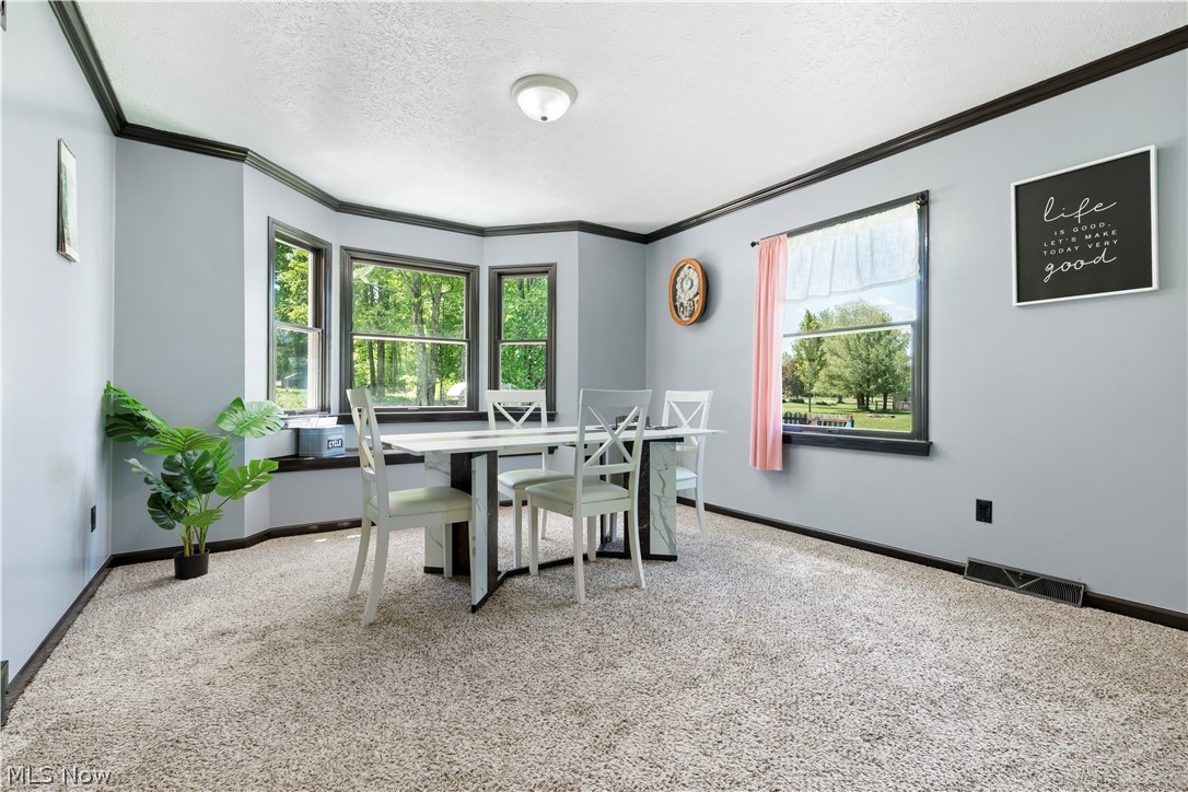 1139 Bristol Champion Townline Road NW Champion OH 44402
