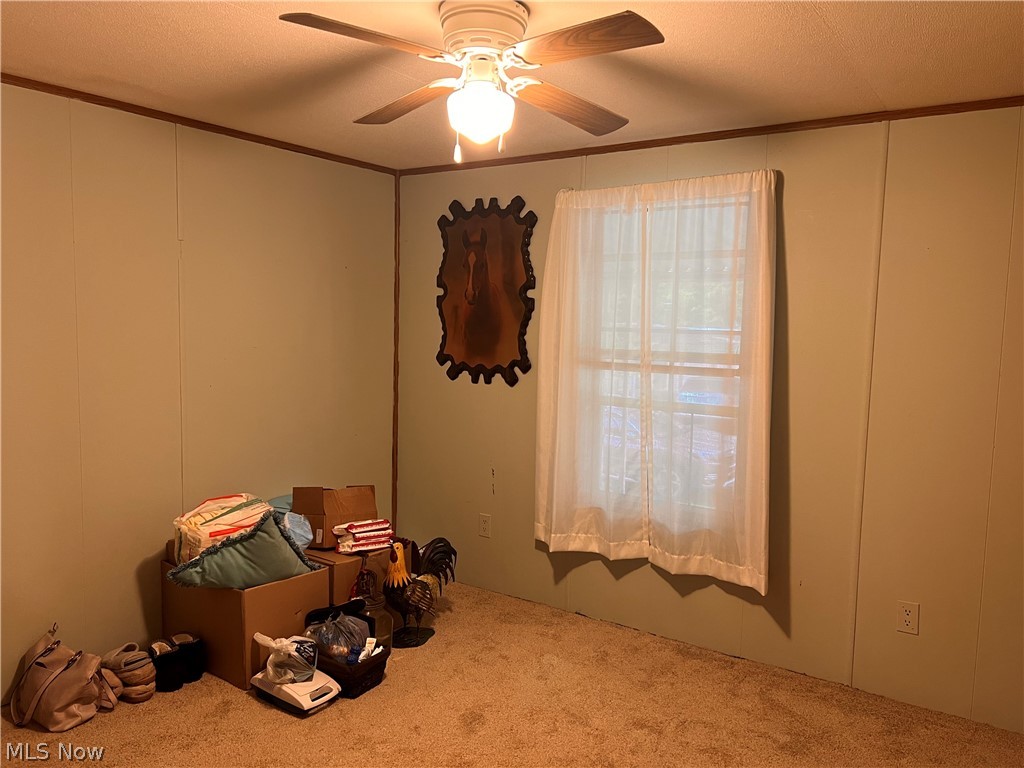 1931 Campground Road Wellsville OH 43968
