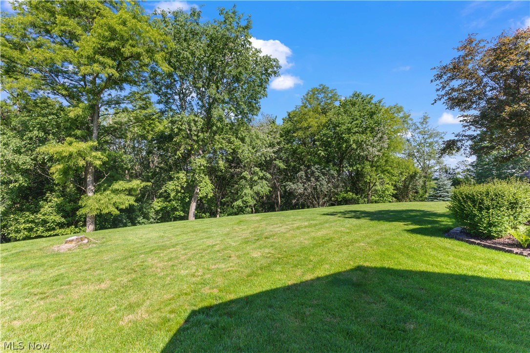 93 Harmony Drive Wintersville OH 43953