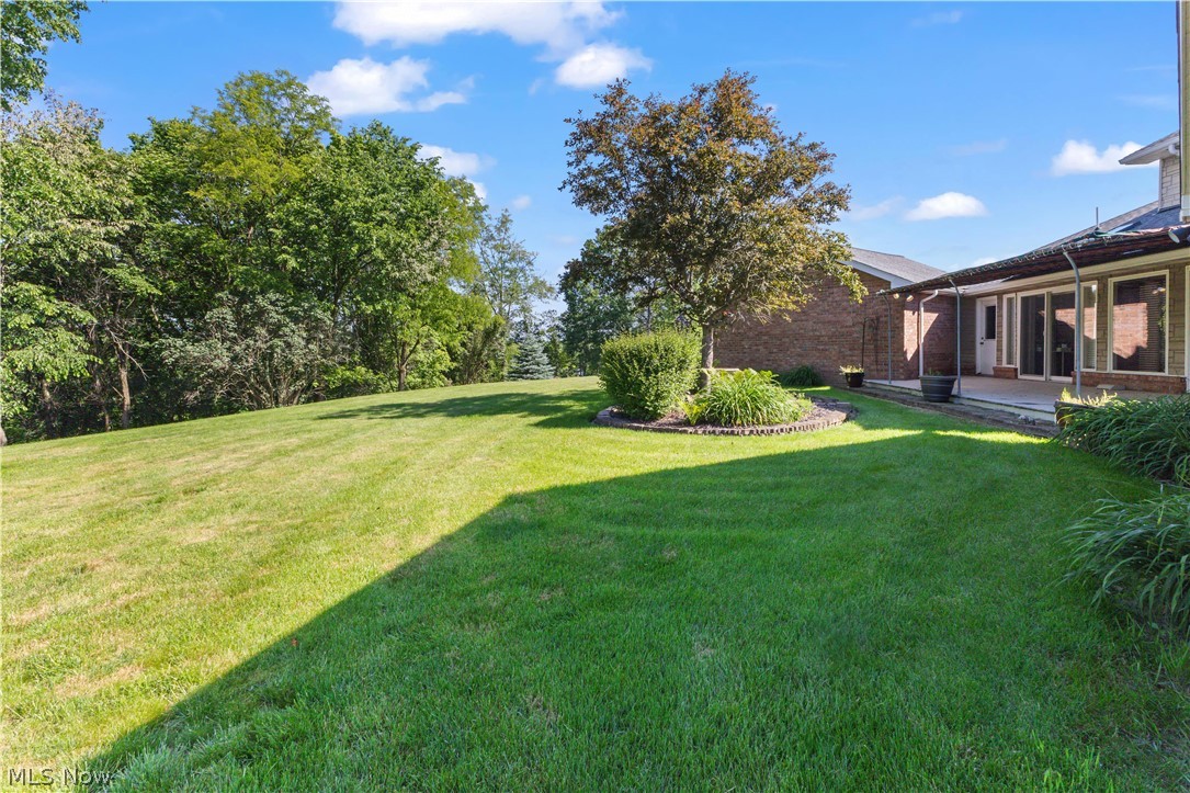 93 Harmony Drive Wintersville OH 43953
