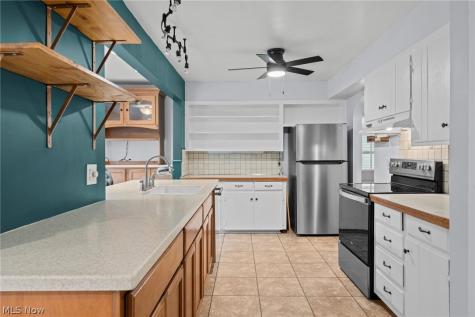 1508 Thornapple Avenue Akron OH 44301