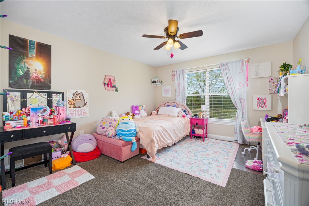 310 Edenmore Street Wadsworth OH 44281