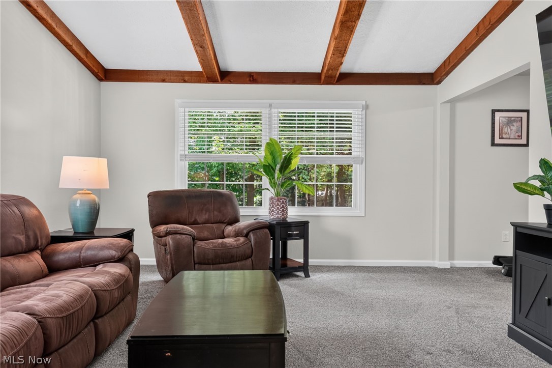 4711 Diane Drive Ashtabula OH 44004