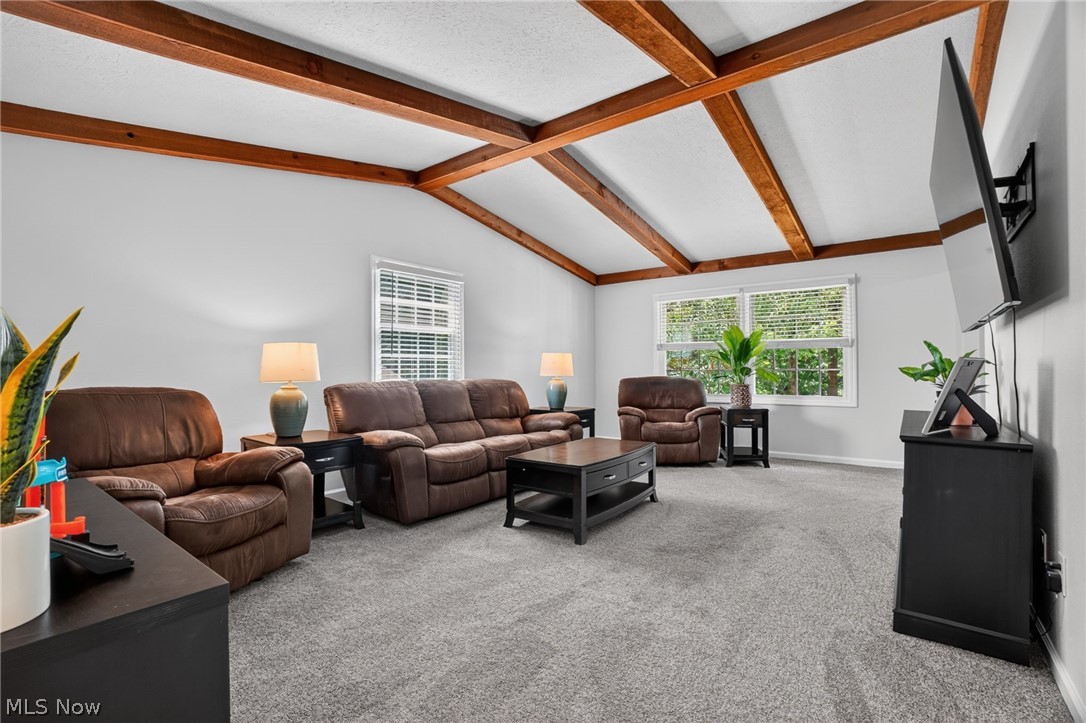 4711 Diane Drive Ashtabula OH 44004