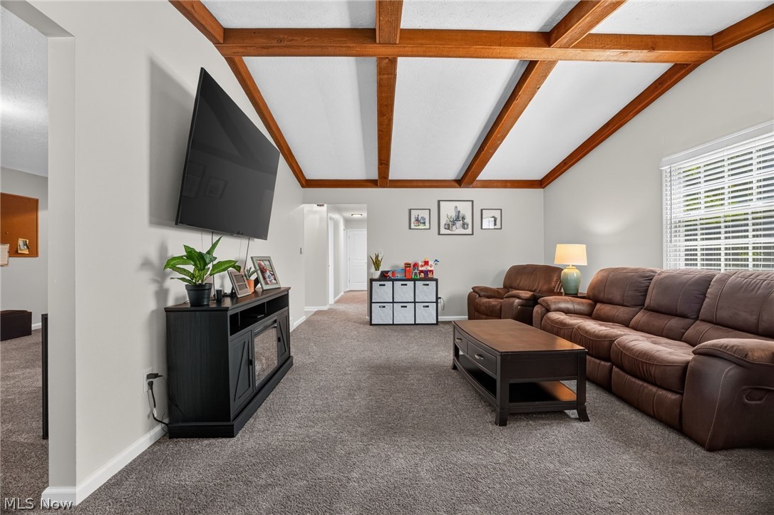 4711 Diane Drive Ashtabula OH 44004