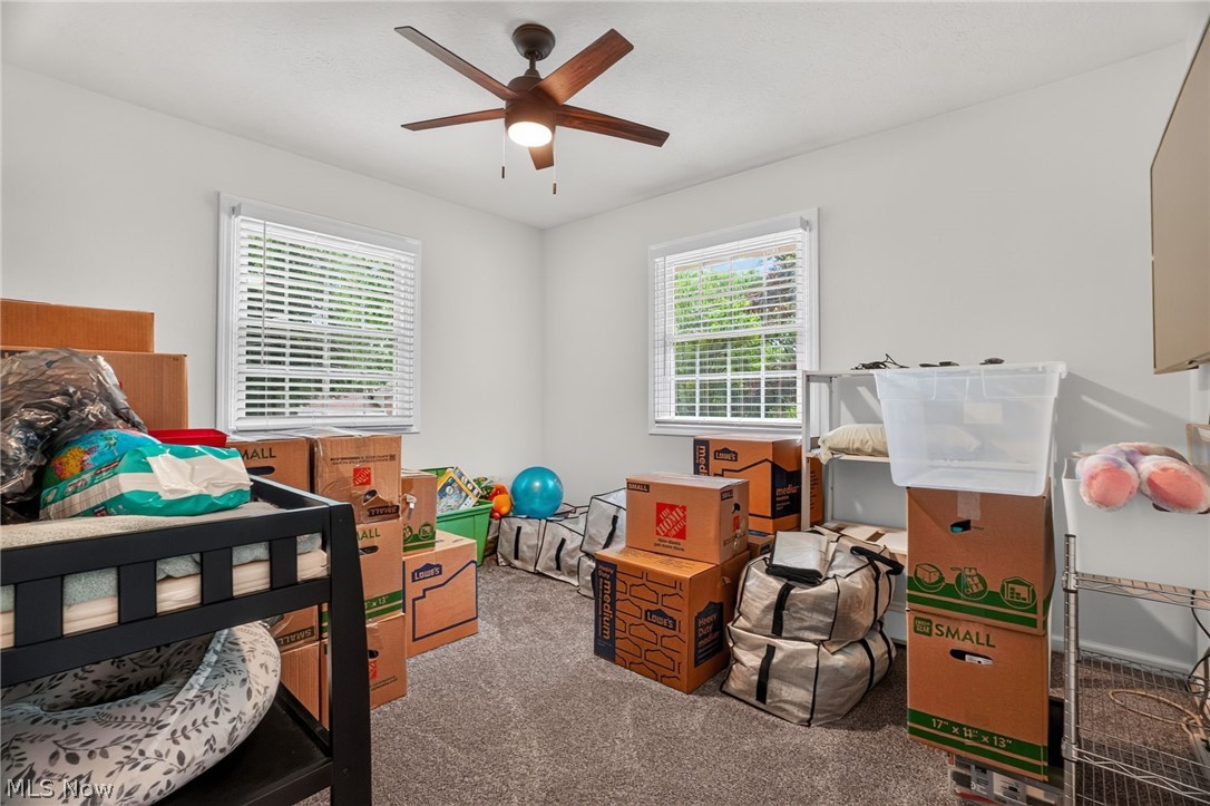 4711 Diane Drive Ashtabula OH 44004