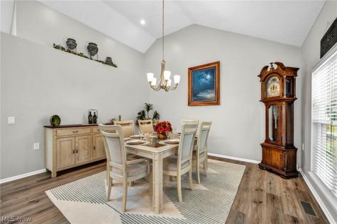 5304 Lake Forest Reserve Lane Brunswick OH 44212