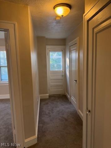 3923 Orchard Road Cleveland Heights OH 44121