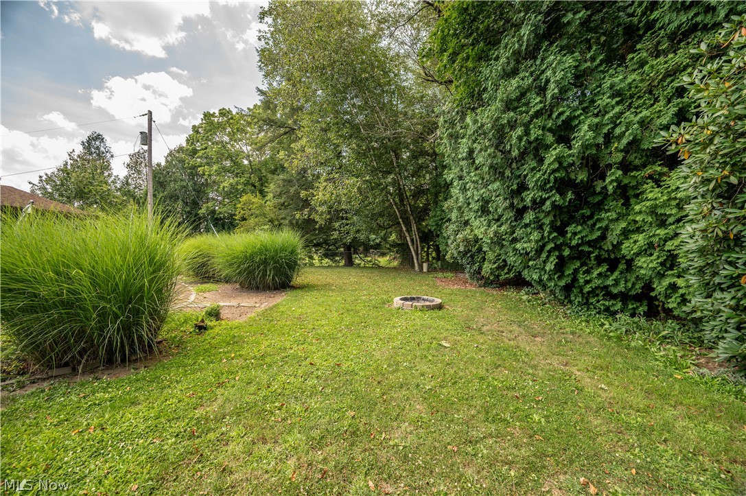 493 Empire Street Leetonia OH 44431