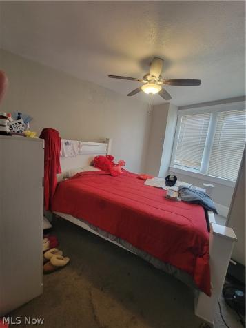 8118 Goodman Avenue Cleveland OH 44105