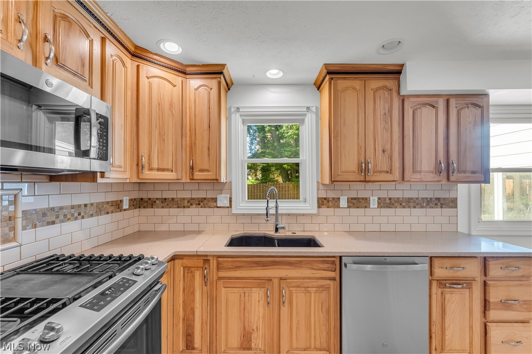 20685 Chestnut Drive Strongsville OH 44149