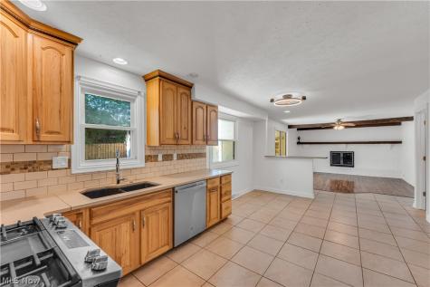 20685 Chestnut Drive Strongsville OH 44149