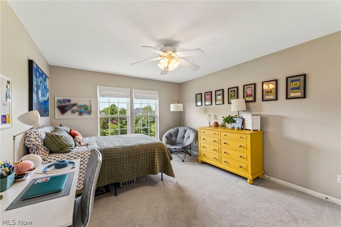 3396 Napa Boulevard Avon OH 44011