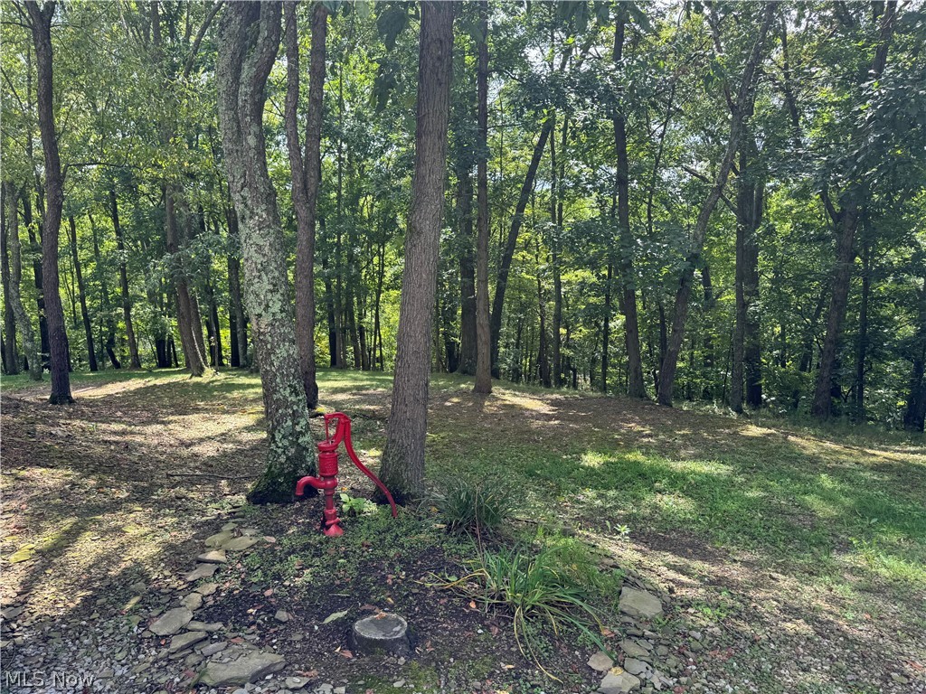 16462 Dunn Road East Liverpool OH 43920
