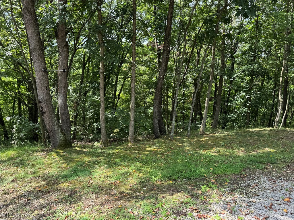 16462 Dunn Road East Liverpool OH 43920