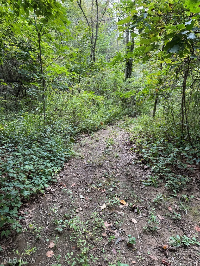 16462 Dunn Road East Liverpool OH 43920
