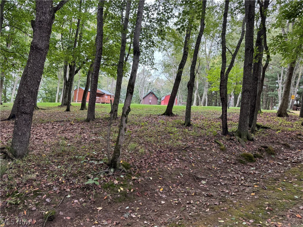 16462 Dunn Road East Liverpool OH 43920