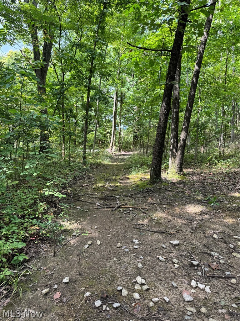 16462 Dunn Road East Liverpool OH 43920