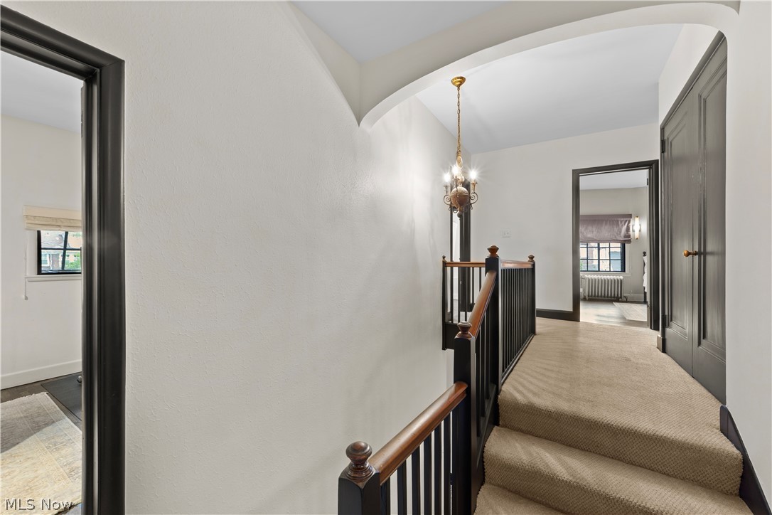 12655 Cedar Road Cleveland Heights OH 44106