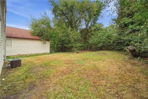 1137 Smithfarm Avenue Akron OH 44305