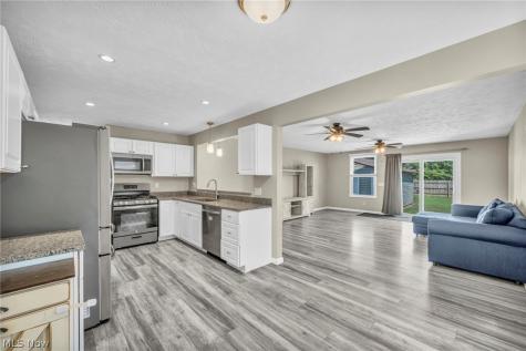 6315 Tall Oaks Drive Mentor OH 44060