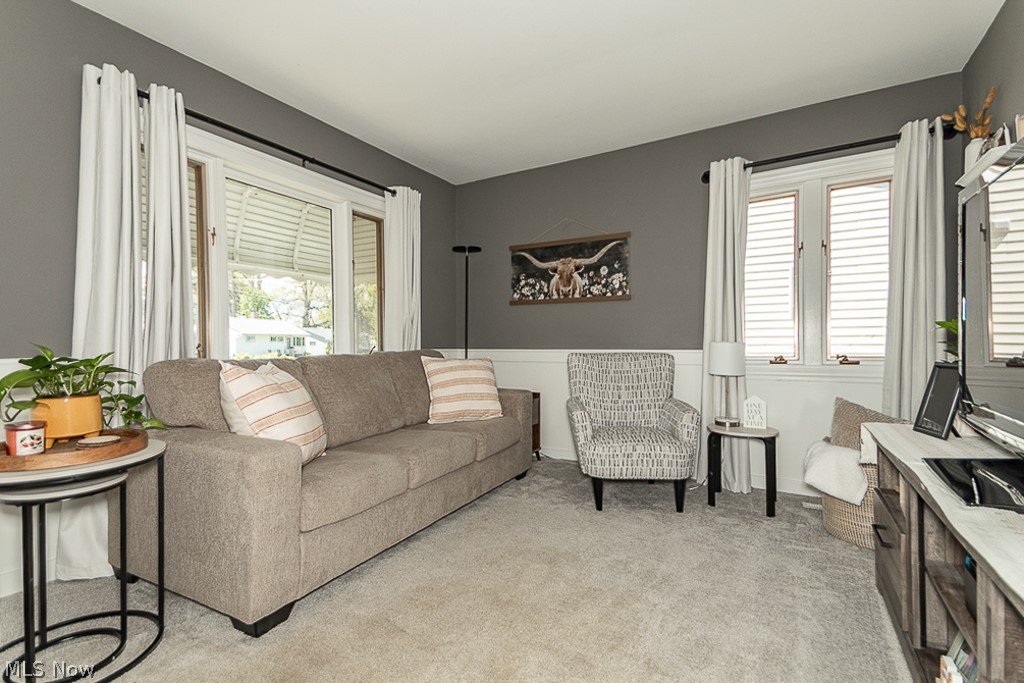9017 Woodridge Lane Mentor OH 44060
