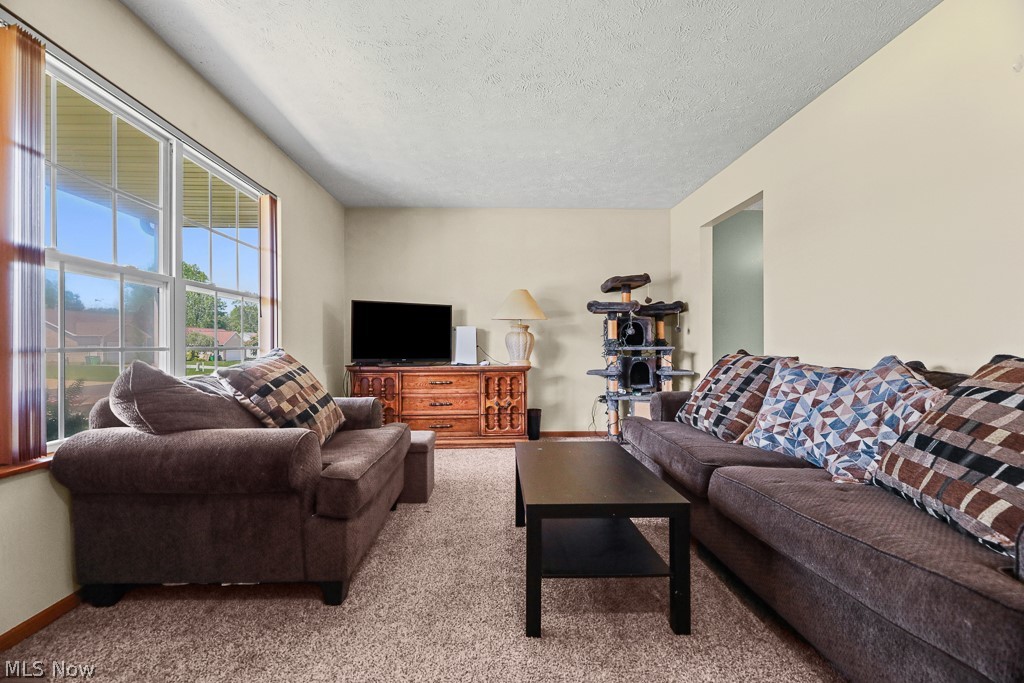 2610 Blenheim Avenue Alliance OH 44601