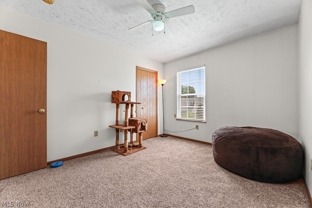 2610 Blenheim Avenue Alliance OH 44601