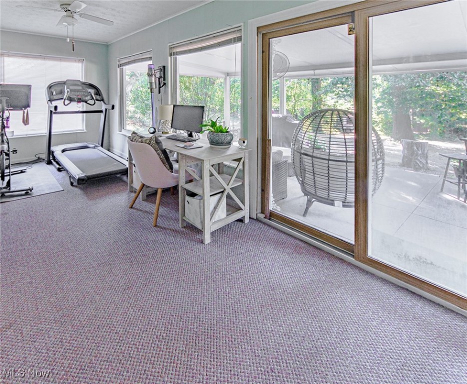 3834 N Glenridge Road Akron OH 44319