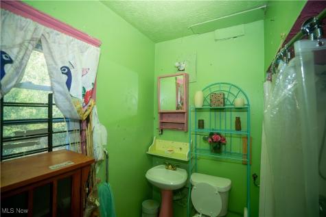 10927 Grantwood Avenue Cleveland OH 44108