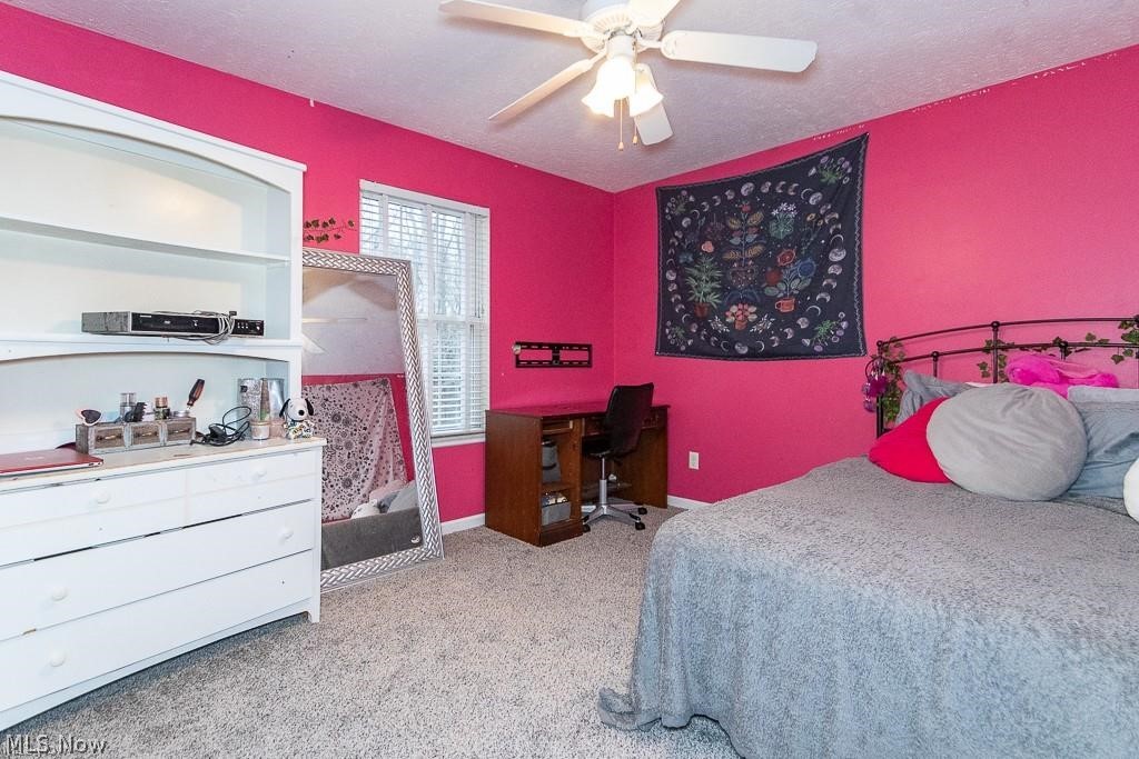 2429 Townline Road Madison OH 44057